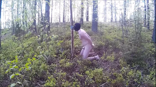 एचडी Dildo sucking in the woods ऊर्जा फिल्में